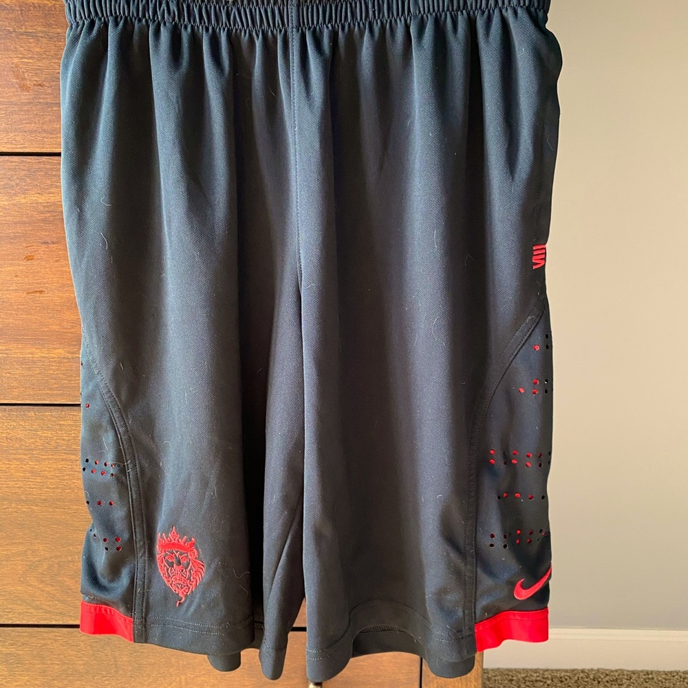 Vintage Lebron James basketball shorts